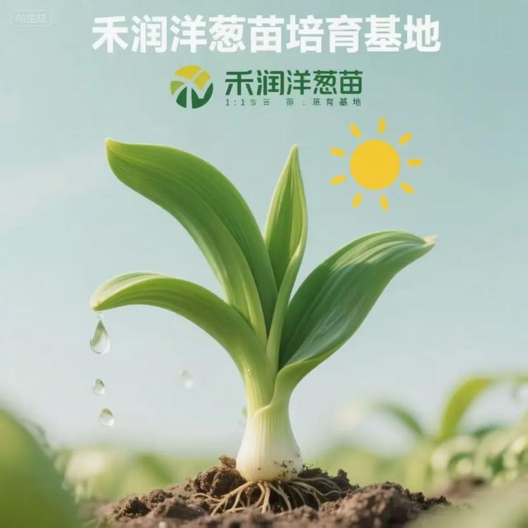 禾润洋葱苗培育基地