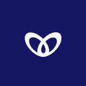 表妹茶器