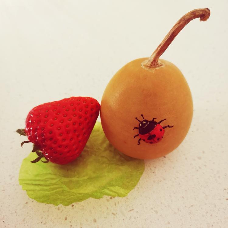 小二玩葫芦