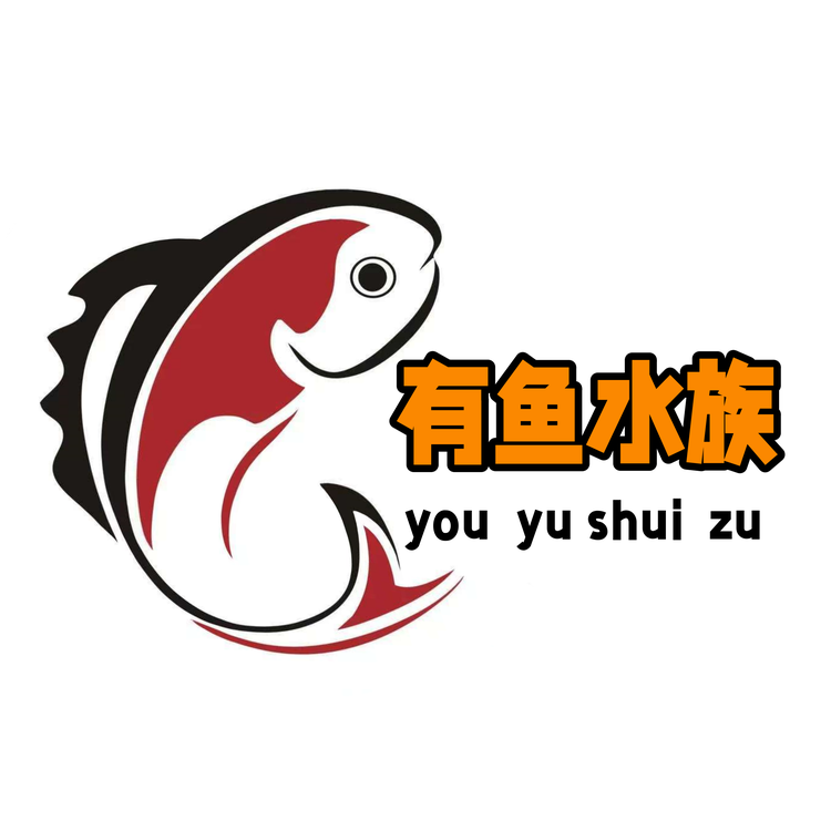 有鱼水族店