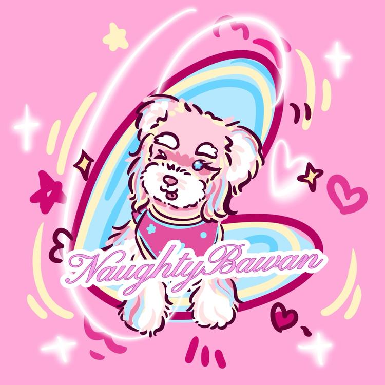 NaughtyBawan淘气八万宠物服饰