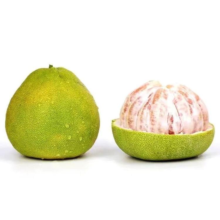 度尾龙仙精品柚