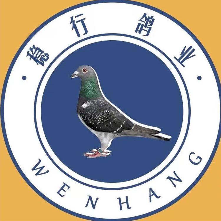 稳行鸽业