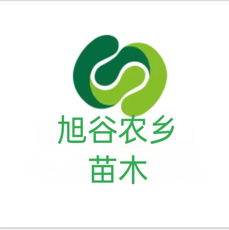 旭谷农乡峪油杏果树苗木专卖店