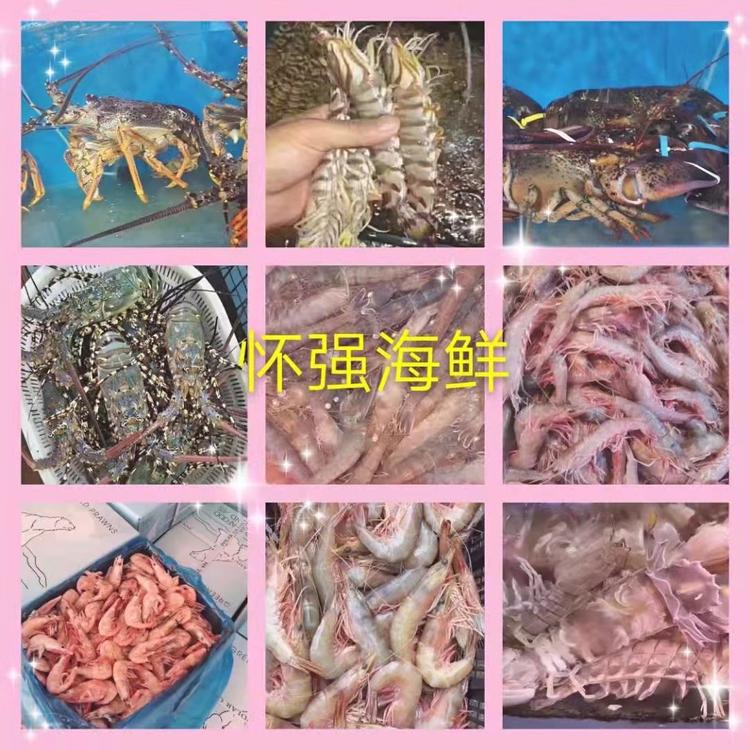 崂山区财富岛海鲜店的小店