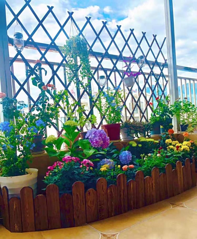 阐扬园艺工艺品