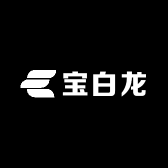 宝宝白龙