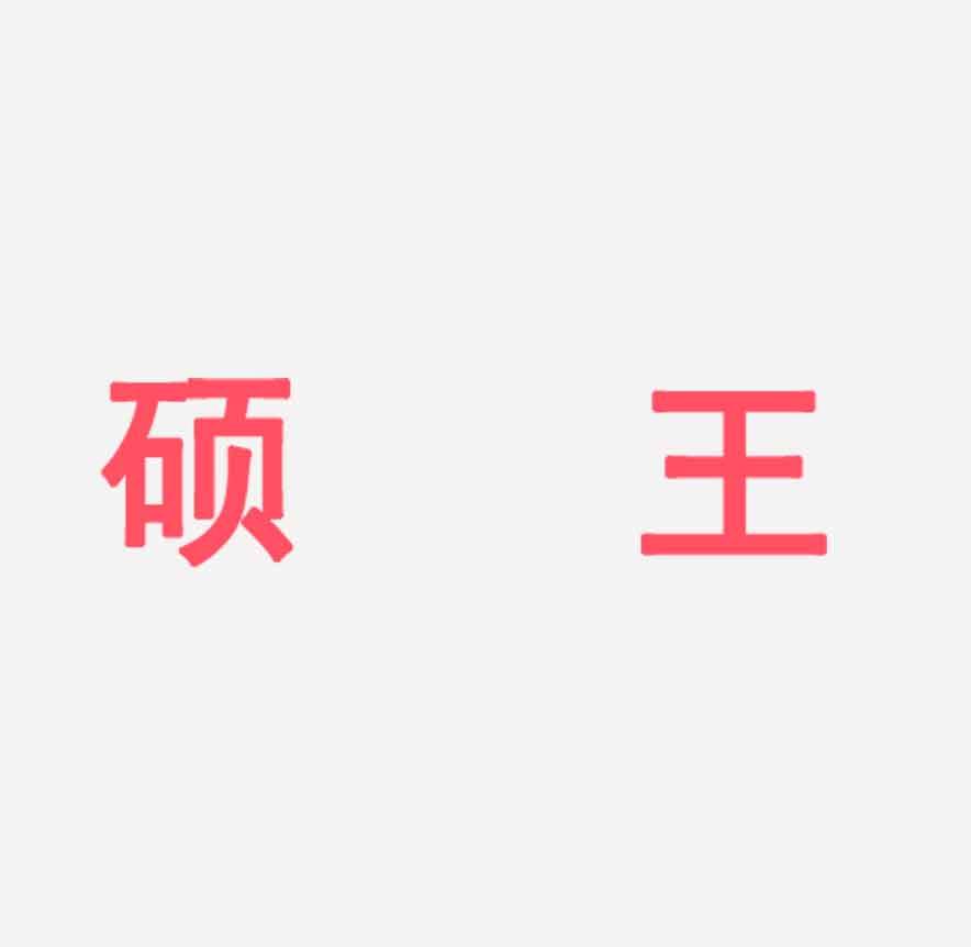 硕王相机旗舰店