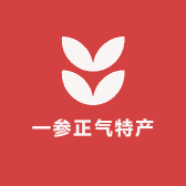 一参正气特产