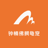 钟情佛鳄龟宠
