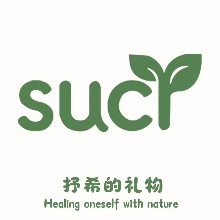 抒希的礼物