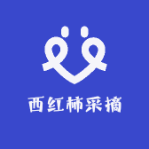 西红柿采摘