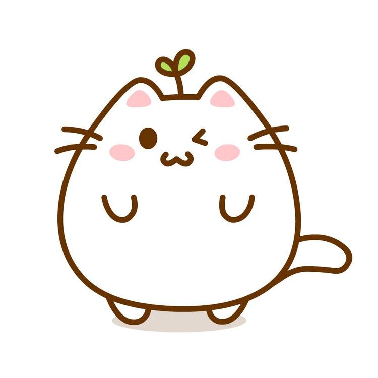 豆猫同学