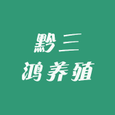 黔三鸿养殖