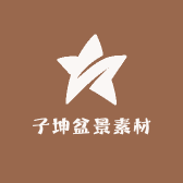 小刘黄荆盆景素材