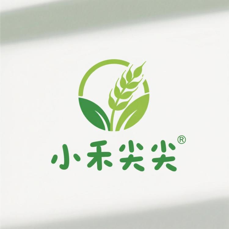 小禾尖尖