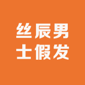 丝辰男士假发