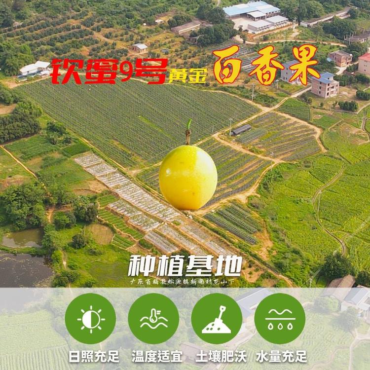 百香果农场水果严选小铺