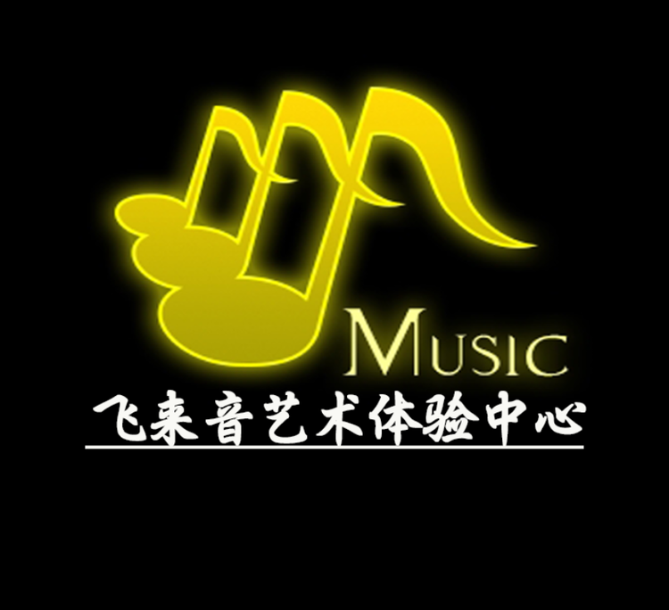 飞来音音乐个体店