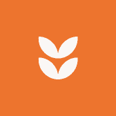 刘东北的杂货铺