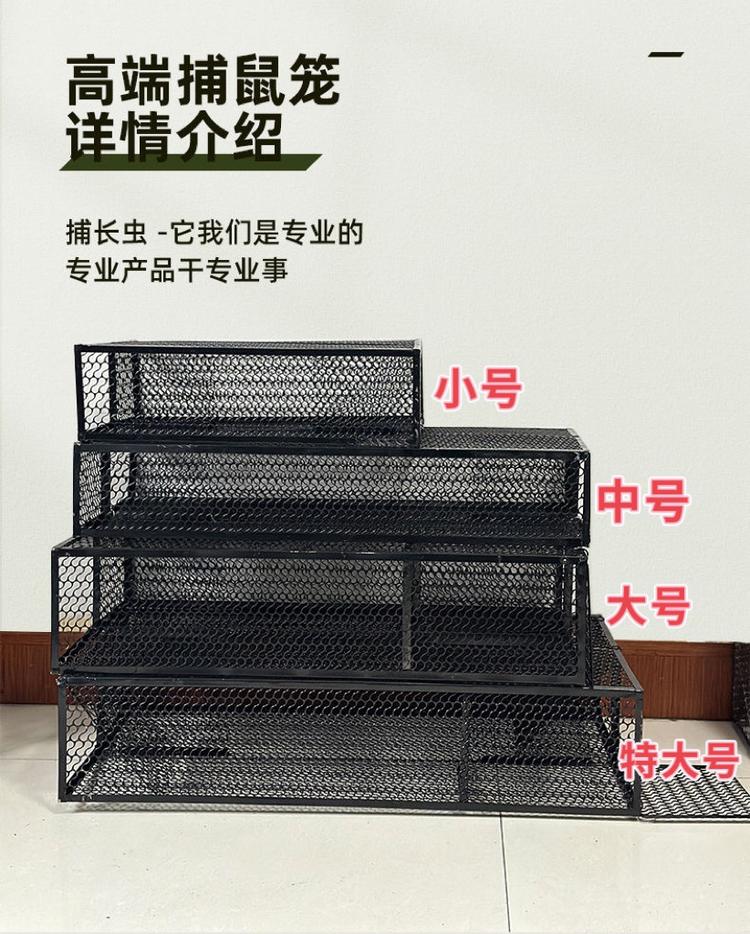 铁笼子厂家