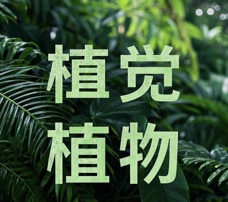 植觉植物