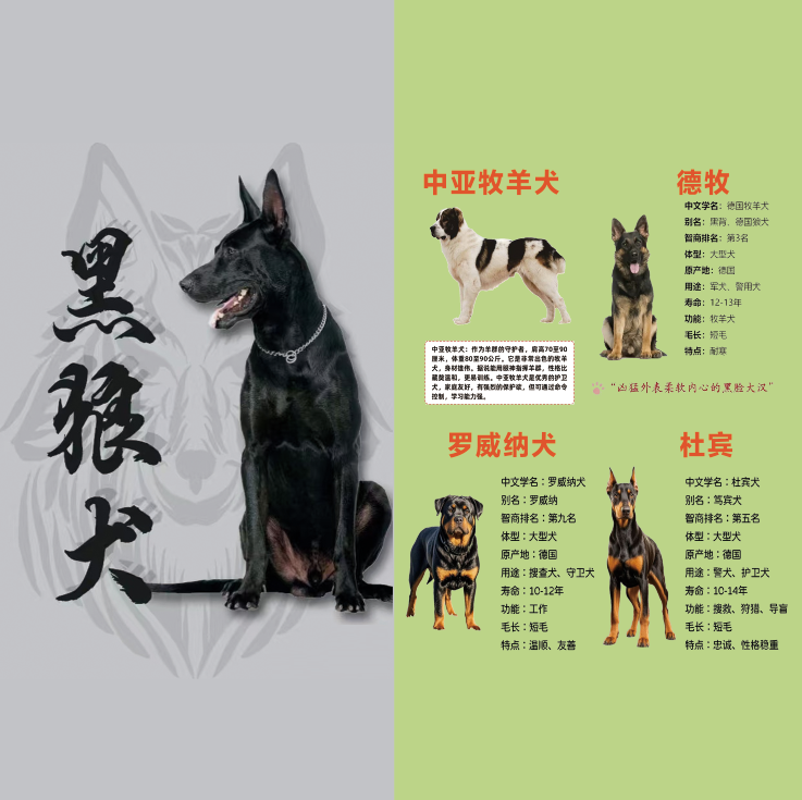 家欢应商甄选
