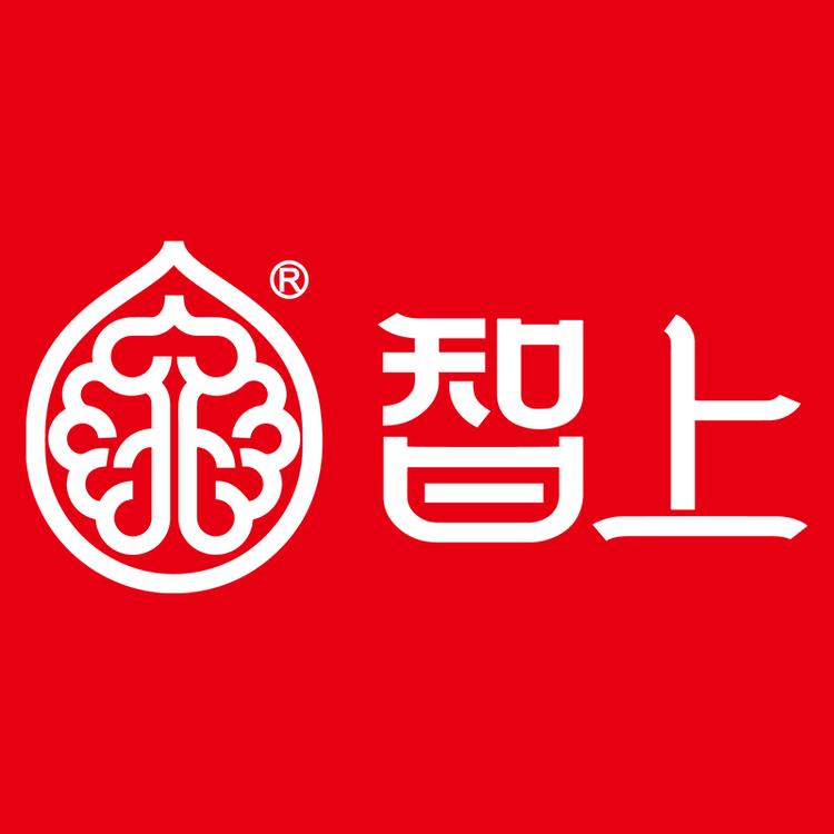 智上企业店