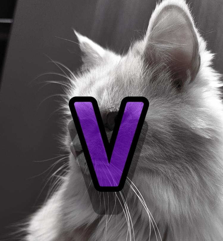 VGatto