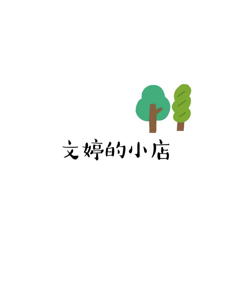 文婷的小店个体店