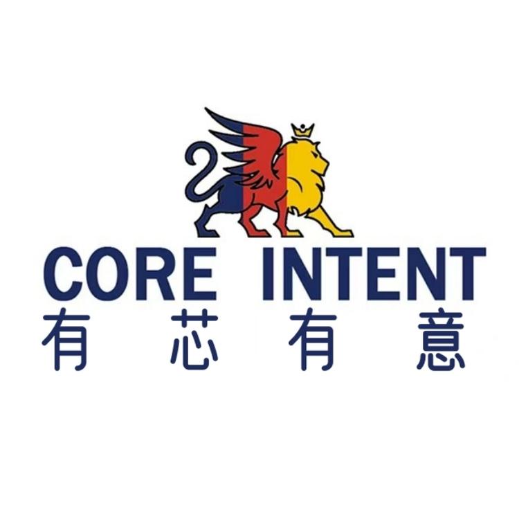 有芯有意Core Intent家纺枕芯