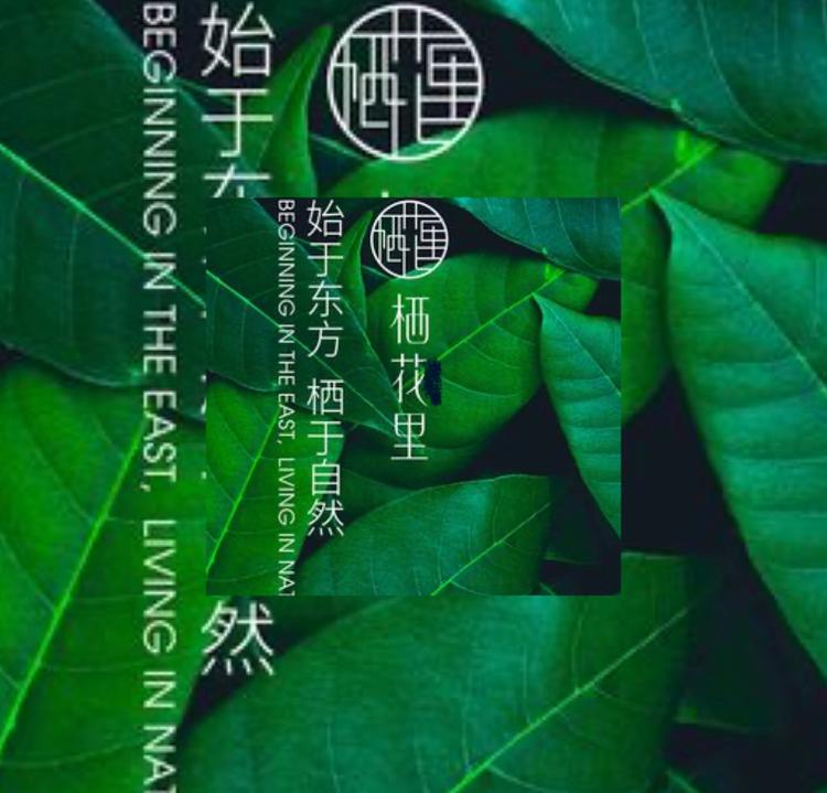 栖花里番禺店