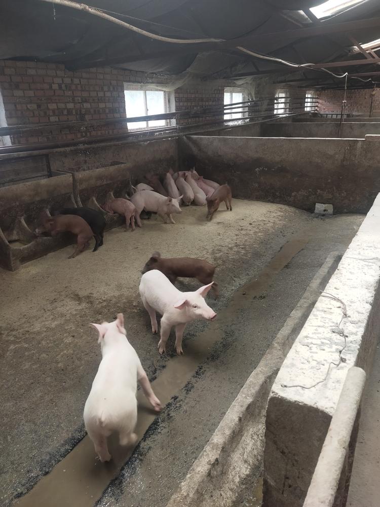 围场满族蒙古族自治县克勒沟镇亿和家庭农场的小店