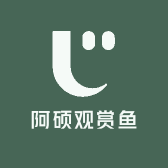 阿硕观赏鱼