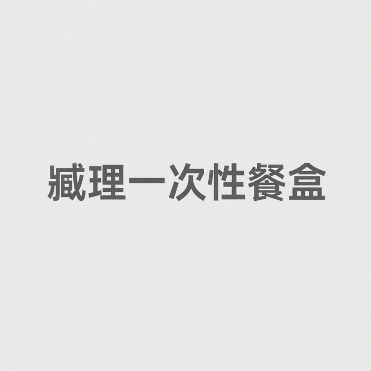 臧理一次性餐盒