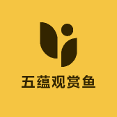 五蕴观赏鱼