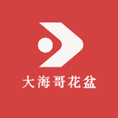 大海哥花盆