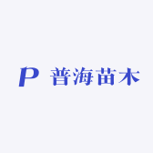普海苗木