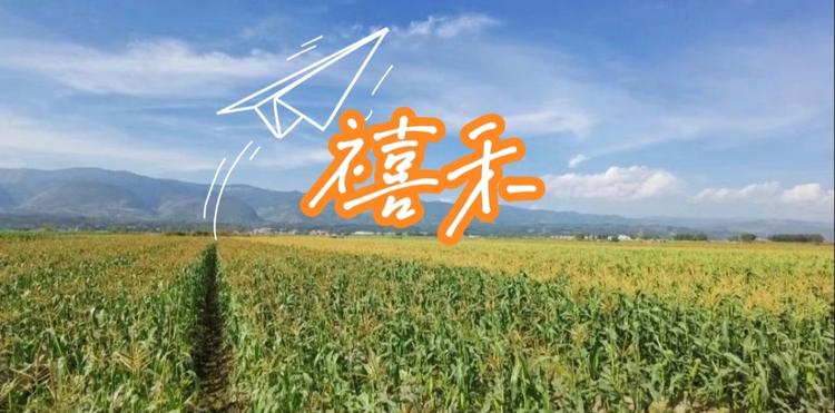 通海县禧禾农业