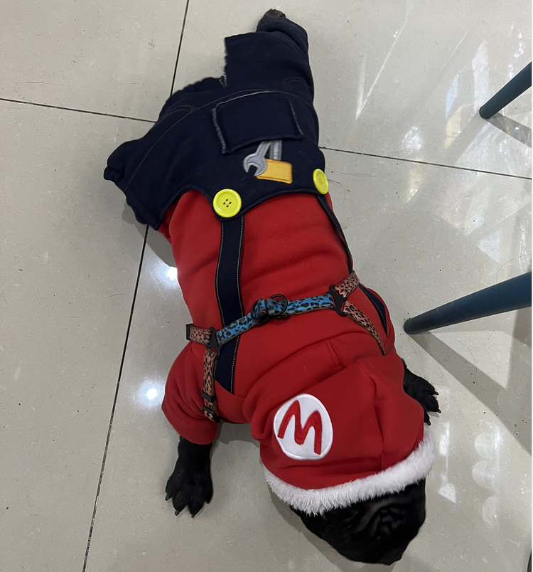 新疆爱宠生活馆