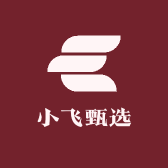 王小飞甄选