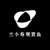 兰小寿观赏鱼