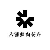 大锤多肉花卉