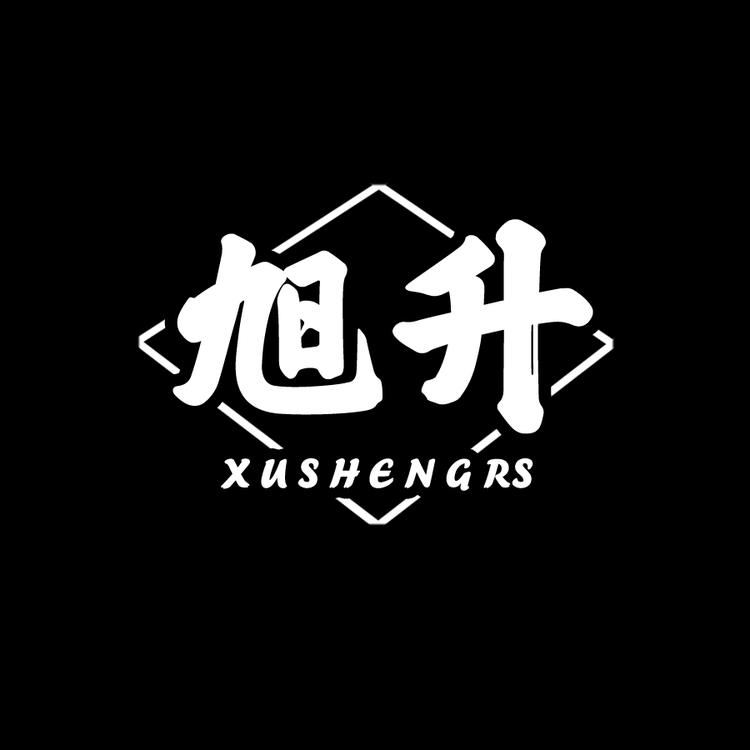 旭升汽车原厂升级