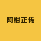 阿柑正传正宗新会陈皮