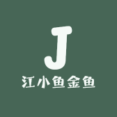 江小鱼金鱼