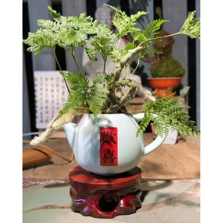 百壶呈祥