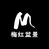 梅红盆景