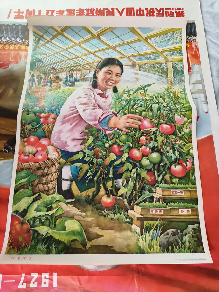 霞姐老物件