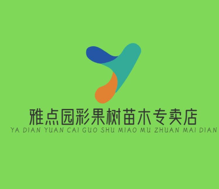 雅点园彩果树苗木专卖店